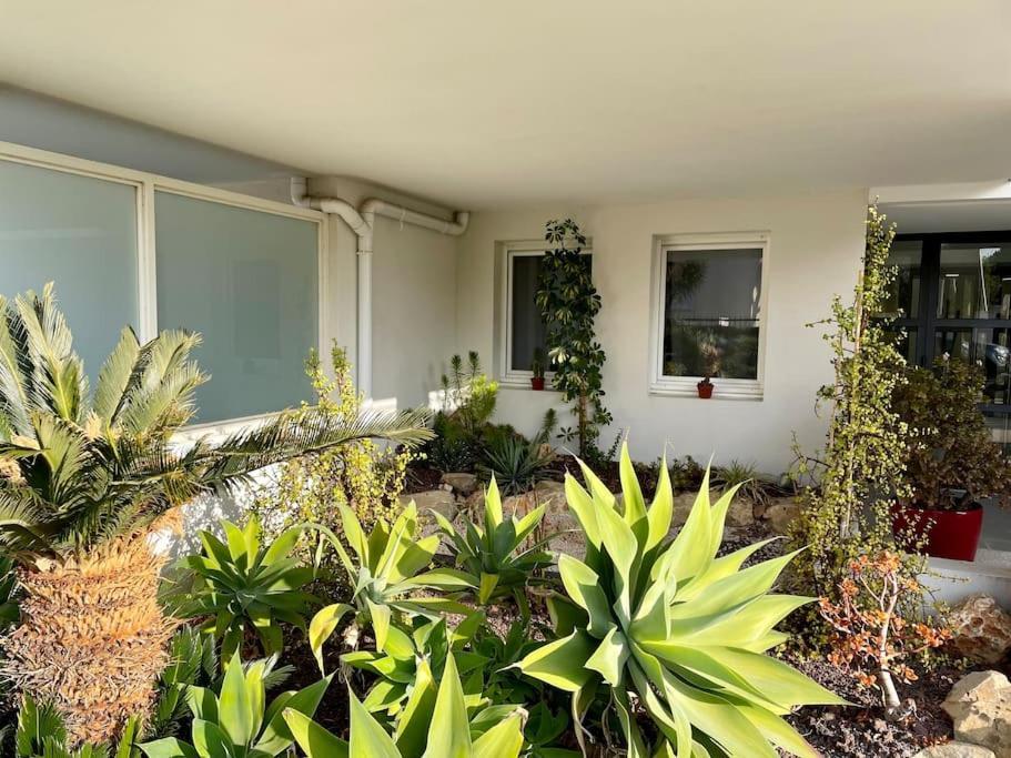 21 - Tres Agreable Rdc Avec Terrasse Et Parking Apartment Bandol Bagian luar foto
