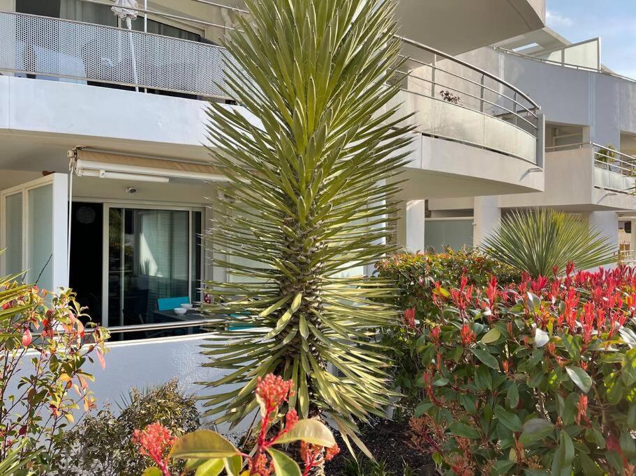 21 - Tres Agreable Rdc Avec Terrasse Et Parking Apartment Bandol Bagian luar foto