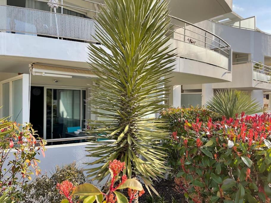 21 - Tres Agreable Rdc Avec Terrasse Et Parking Apartment Bandol Bagian luar foto